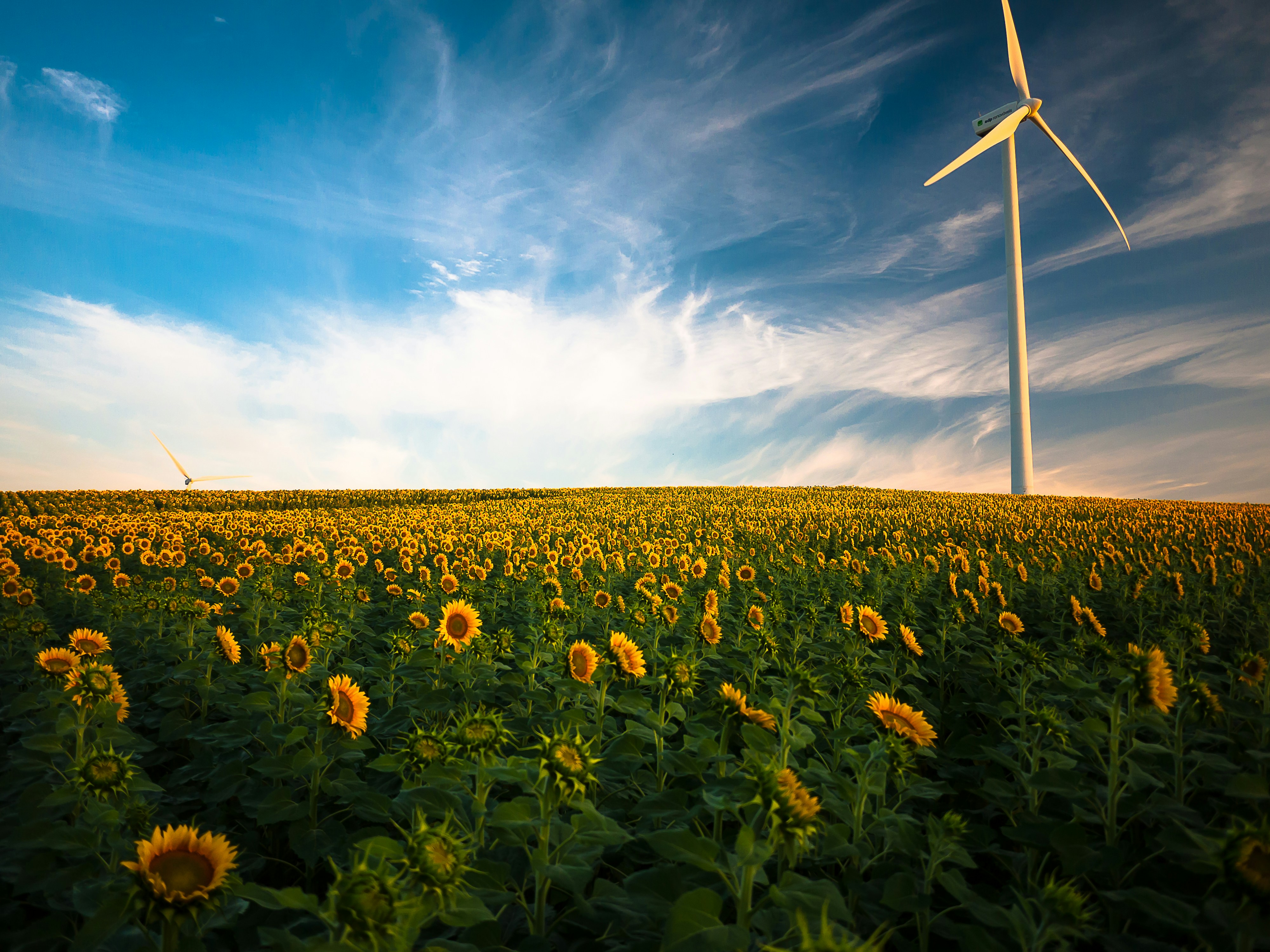 Internal Communication as the Key to Cultural Transformation in Energy Companies